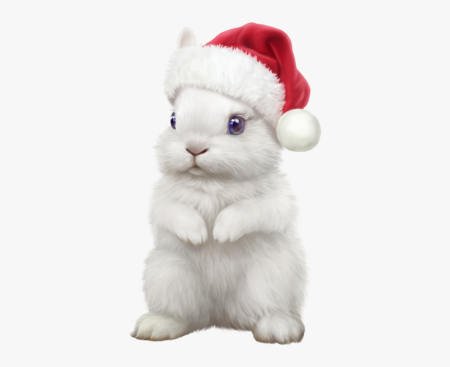 Новогодний кролик