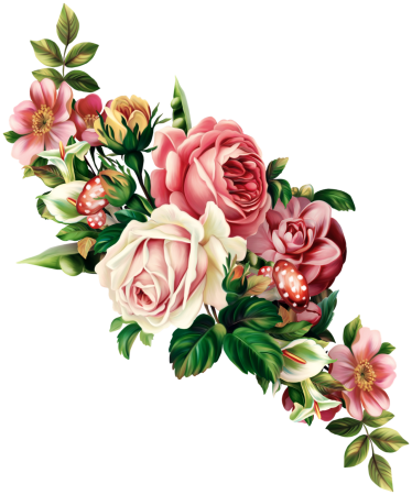 Цветы без фона