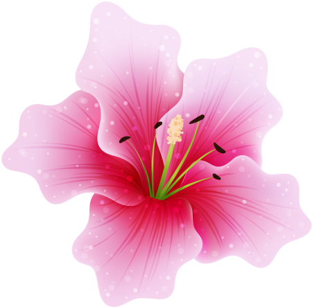 Subshrubby Peony Flower
