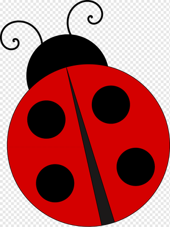 Ladybug Божья коровка