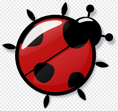 Ladybird Божья коровка