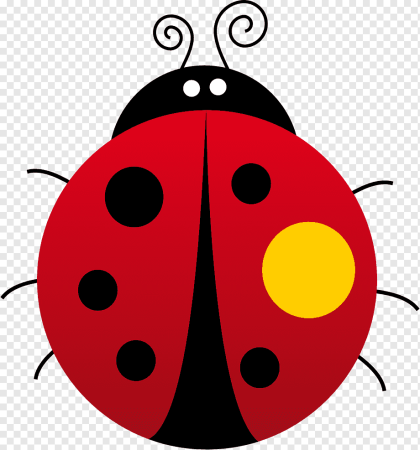 Ladybird Божья коровка