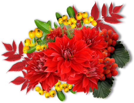 Осенний букет на белом фоне