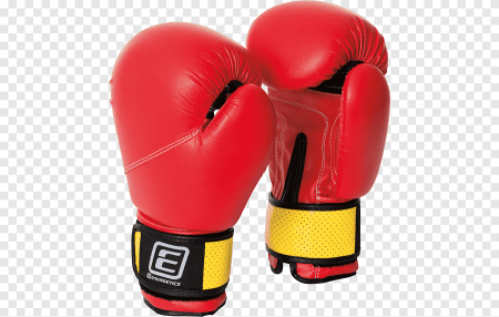 Боксерские перчатки Everlast вектор