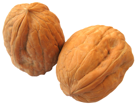 Миндаль Almond