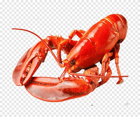 Лобстер мультяшный