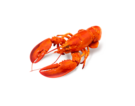 Лобстер мультяшный