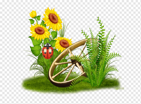 Летний лагерь закрытие