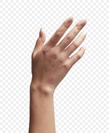 Женская рука