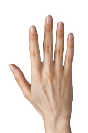 Кисть женская