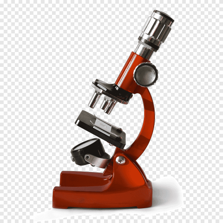 WORMCHECK