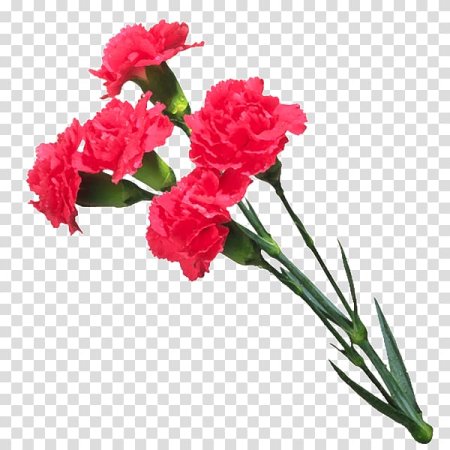 Гвоздики букет Победы