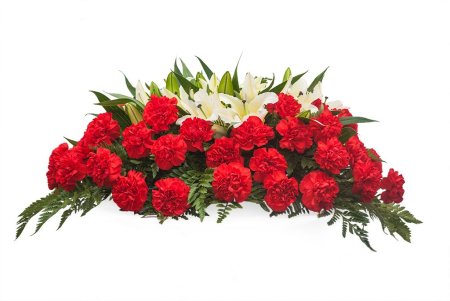 Гвоздики цветы