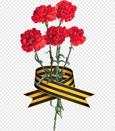 Гвоздики на прозрачном фоне