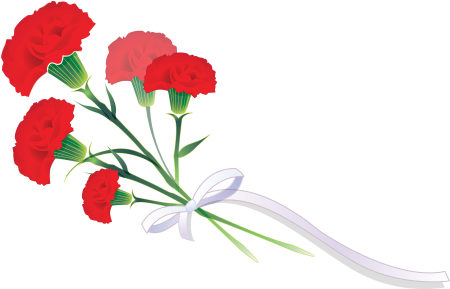 Гвоздика Селект красная