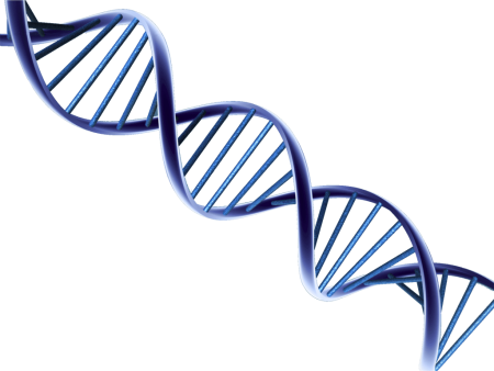 ДНК без фона