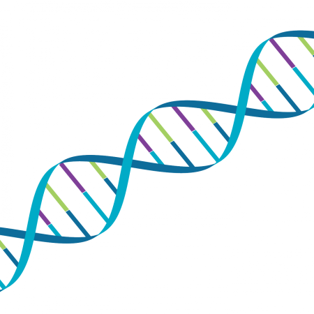 Гены ДНК