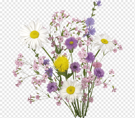 Букет полевых цветов