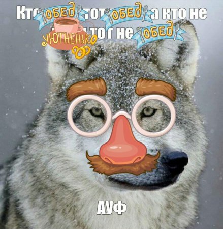 Котик в шоке