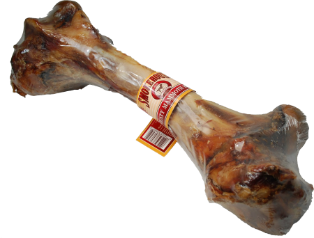 Бедренная кость