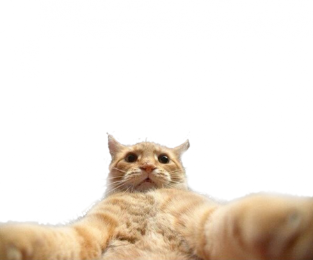 Смеющаяся рожа