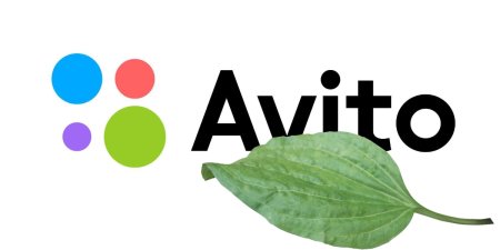 Авито картинки