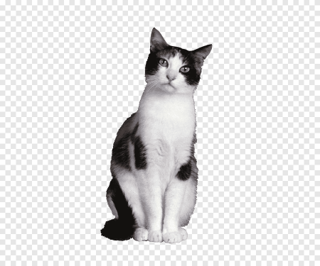 Кот вырезанный