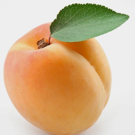 Apricots – абрикосы