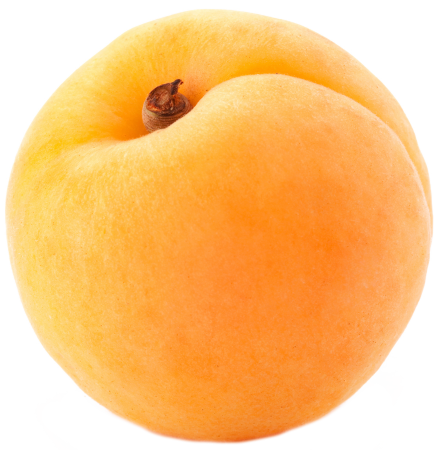 Абрикос на белом фоне