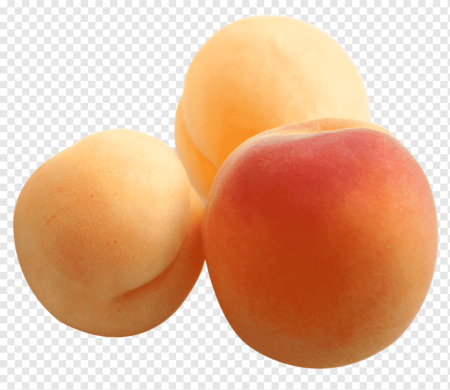 Абрикос - Prunus armeniaca