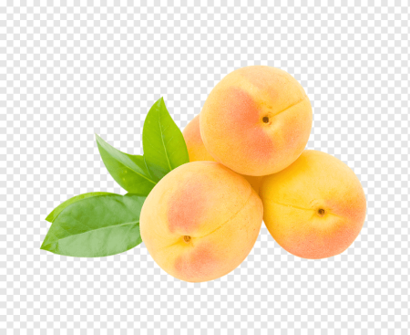 Половина персика