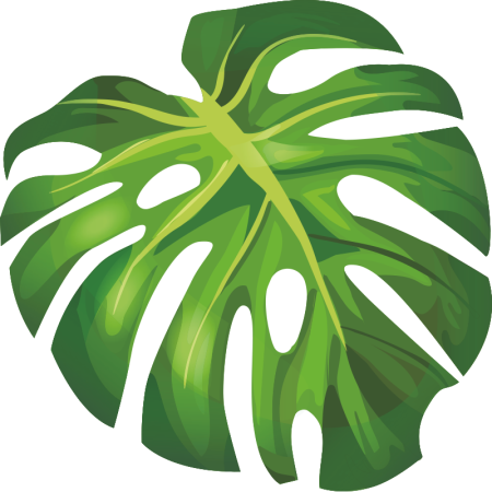 Листья Monstera вектор