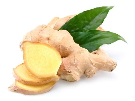 Zingiber officinale