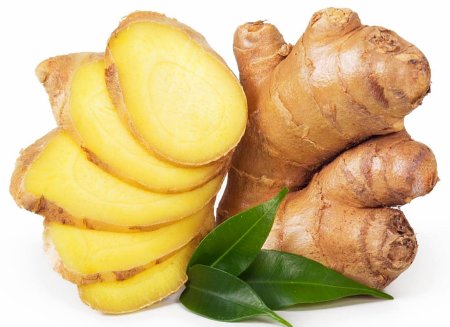 Zingiber officinale