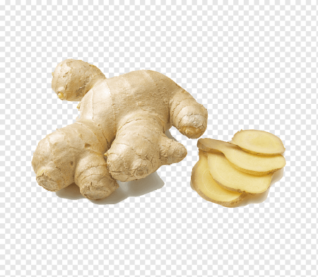 Zingiber officinale