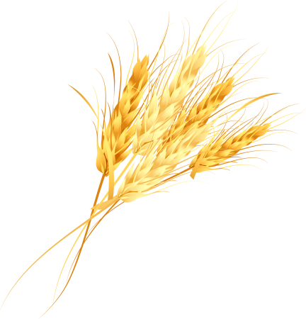 Пшеничка колосок