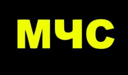Надпись МЧС России на спину
