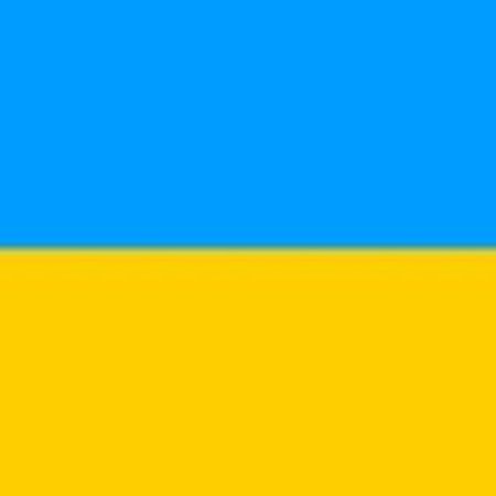 Нашивка МЧС России на спину