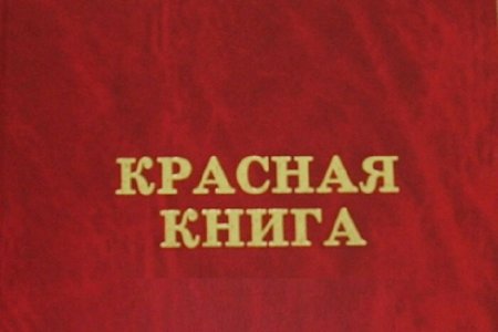Надпись красная книга