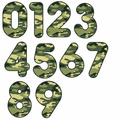 ДМБ 2019