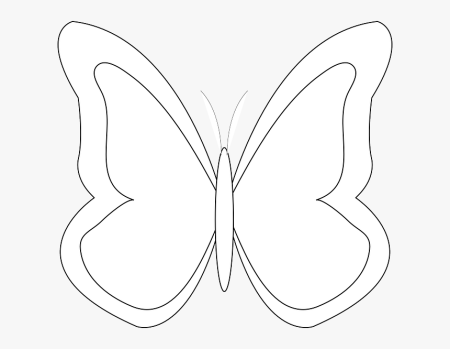 Букв бабочек (48 фото)