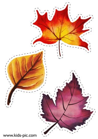 Картинки трафареты осенних листочков для оформления (48 фото)