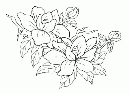 Цветы рисунок