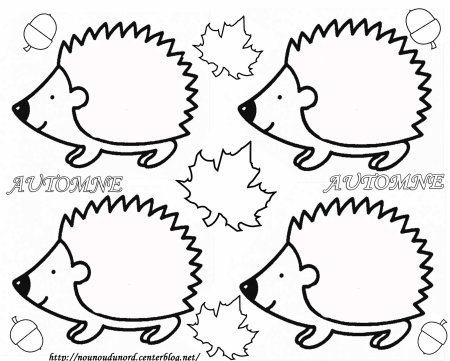 Раскраска Ёжик