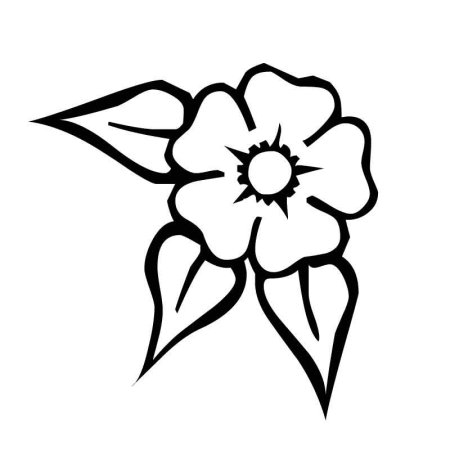 Контур цветов