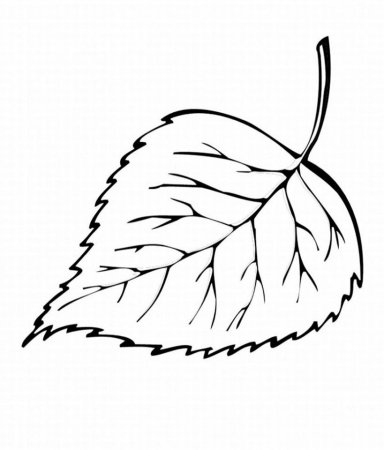 Лист березы раскраска