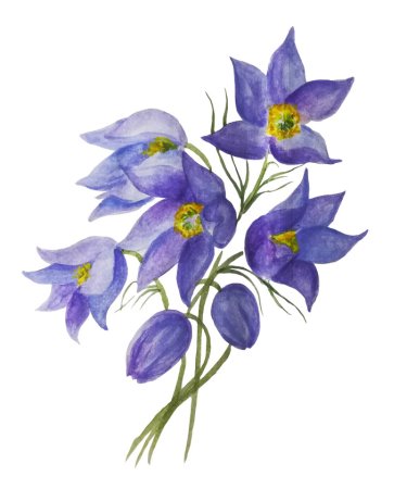 Сон трава раскраска