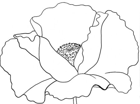 Маки трафареты для рисования