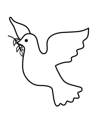 Голубь раскраска