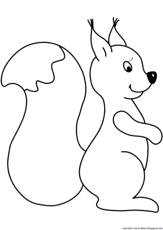 Белочка раскраска для детей